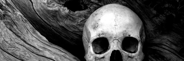 Accompagner la mort et les deuils