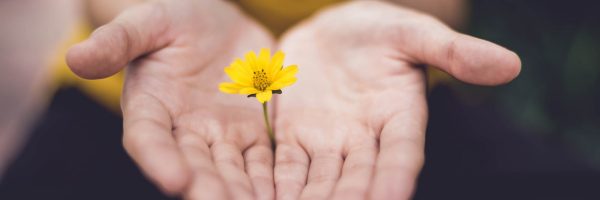 Savoir-être : Approche centrée sur la personne