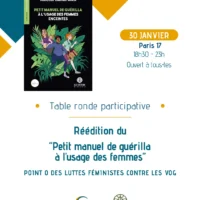 Table ronde – Luttes féministes contre les VOG – 30 janvier 2026